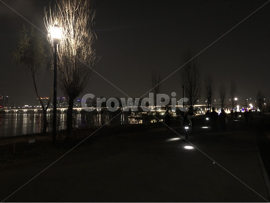 야경,한강공원,한강밤산책,나무,가로등,야경,밤,풍경,nightscape,night,landscape,도시,city,한국도시풍경,한국도시경관,korea cityscape,flare,플레어,light,빛,night life,나이트 라이프
