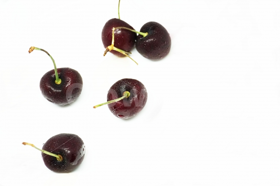 체리,앵두,과일,열매,프루트,후루트,fruit,cherry,음식,사물,물기,물방울,수분,누끼,비타민,과실,디저트,desert,food,오브젝트,object,농산물,농작물,식재료,식자재,식품,meal,vegetable,먹거리,먹을거리,먹을거,먹을것,음식,식재료,요리,food,cook,meal,dishes,food reserves,과일,열매,fruit,누끼,remove background