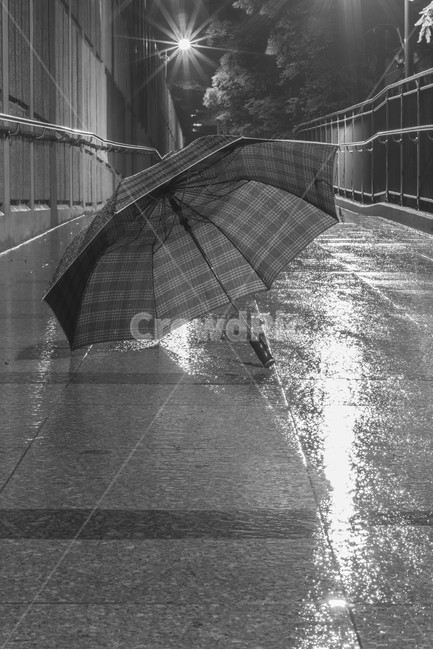 비,우산,빛,반사,외로움,외톨이,버려진,비,비오는날,rain,rainy