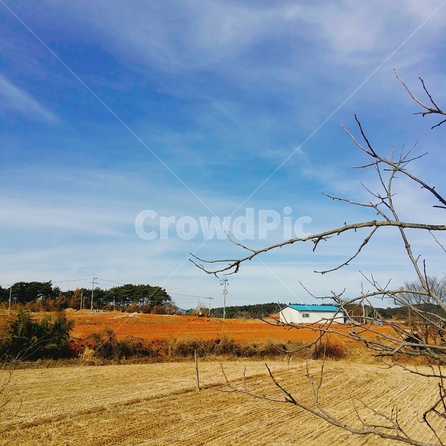 nature,자연,outdoors,옥외,시골,rural