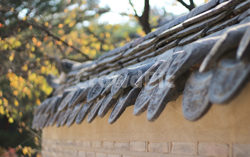한국,전통,처마,기와,창덕궁,창경궁,korea,tradition,한국전통,한국문화,korean traditional,korean culture,건축물,건물외관,exterior,building,structure,architecture,construction