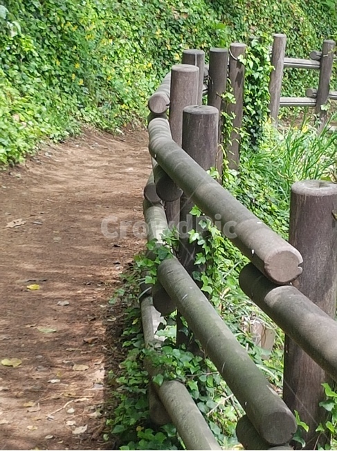 흙길,울타리,등산로,길,나무울타리,자연,풍경,nature,landscape