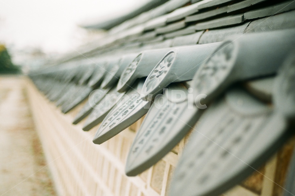 기와,담장,필름,감성,한국,전통,담,길,rooftile,wall,film,korea,korean,traditional