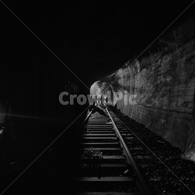 traintrack,기찻길,철도,교통,레일,railway,rail