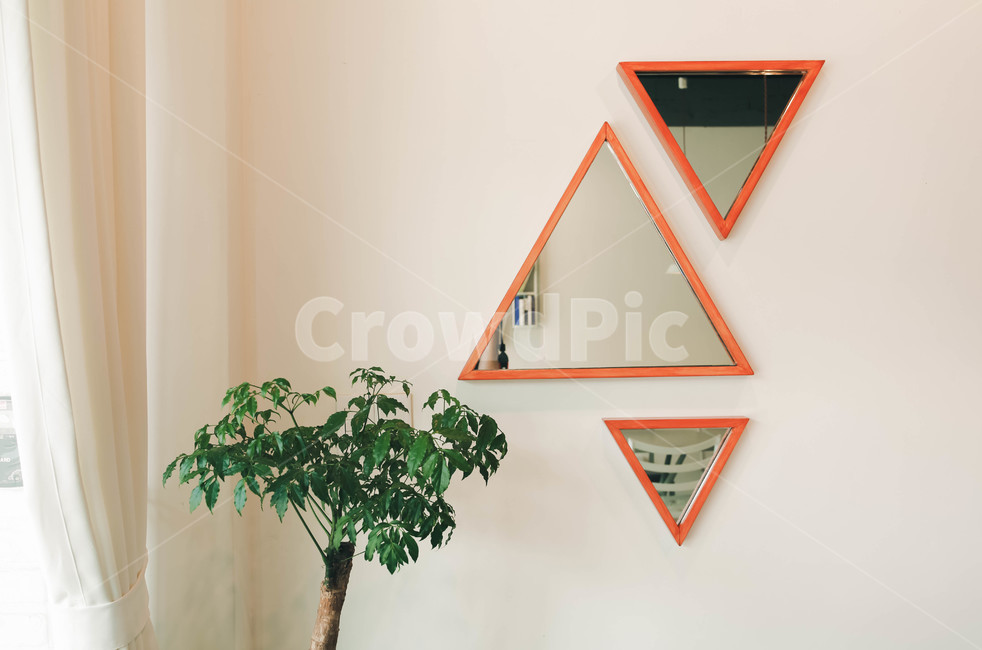 mirror,white background,happy tree,triangle,Emotional photo,White,light,background,plant,sight,Emotion,curtain