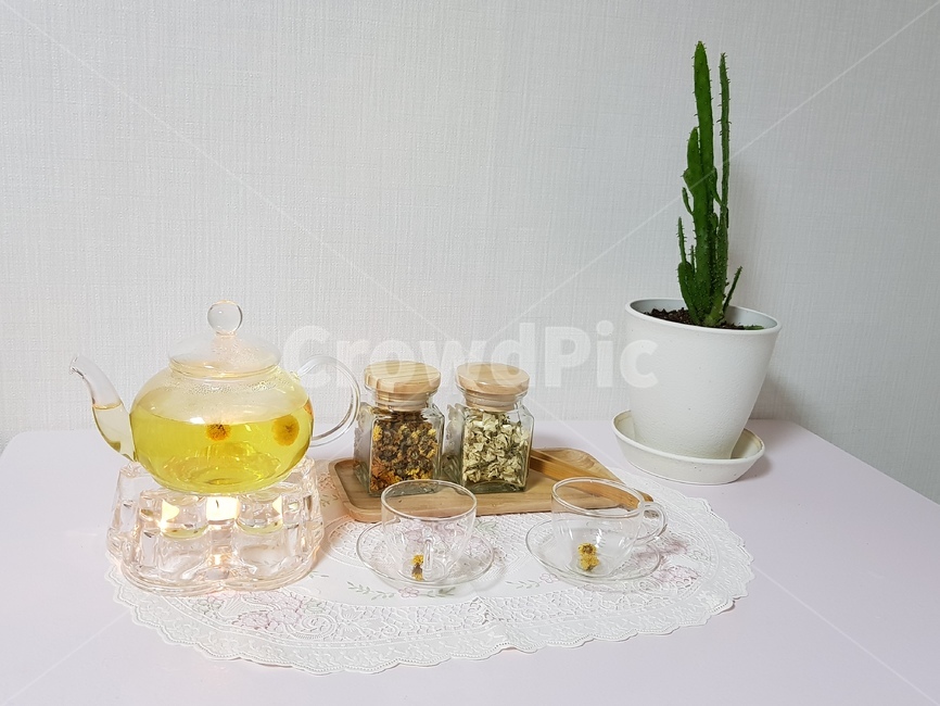 유리잔,국화차,아카시아차,차,말린국화,노란색,흰색,녹색,선인장,마블선인장,다육이,음료수,drink,beverage