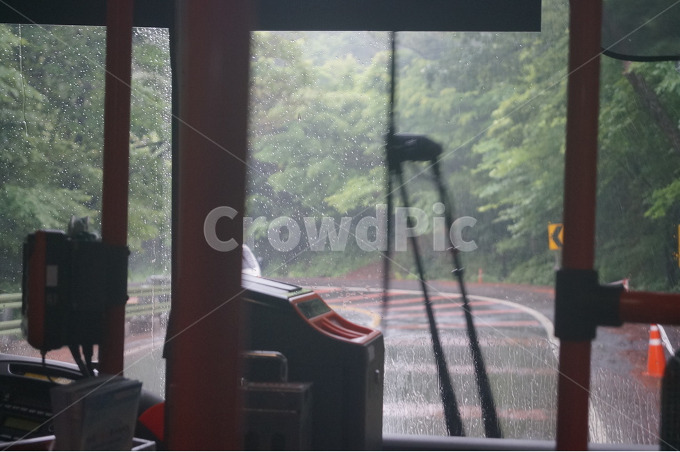 버스안,버스,숲속길,숲속,나무,도로,비,비오는,비,비오는날,rain,rainy