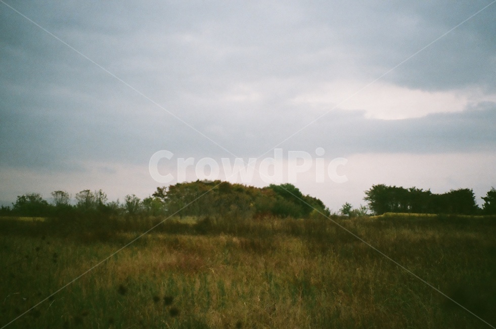 흐린날씨,풍경,하늘,자연,밭,자연,풍경,nature,landscape,outdoors,옥외,grassland,목초지,field,들