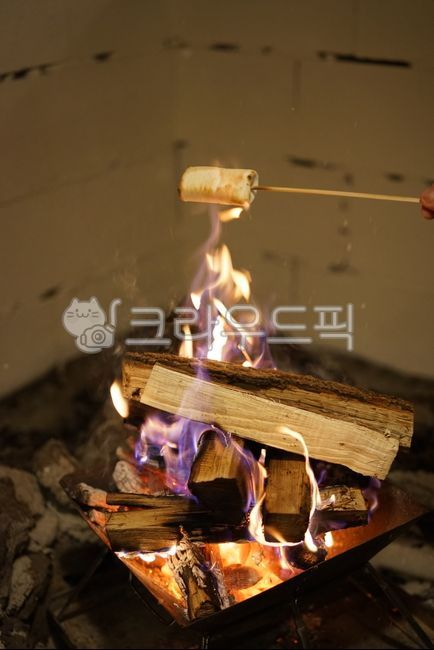 camping,marshmallow,fire,camping cooking,campfire,Camping