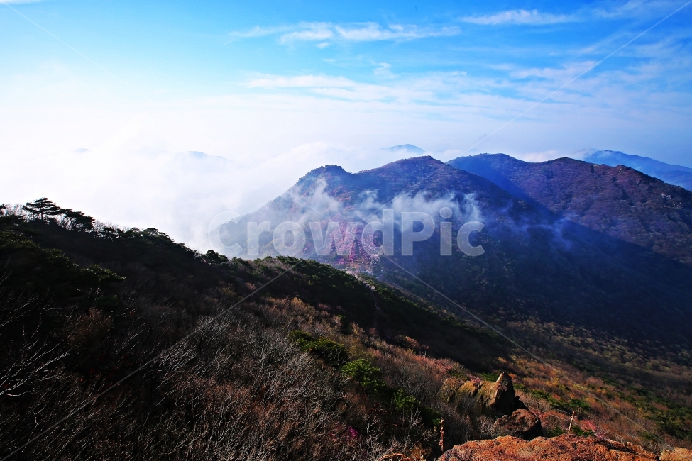 영취산,영취산진달래,여수,진달래,봄,자연,풍경,nature,landscape,한국자연풍경,한국자연경관,korea nature landscape,mountain range,산맥,mountain,산,outdoors,옥외