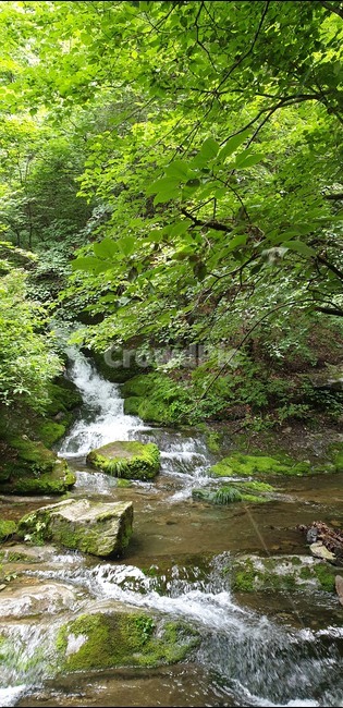폭포,시원함,계곡,숲속,옹달샘,자연,풍경,nature,landscape,water,물,outdoors,옥외,stream,흐름,creek,작은 만