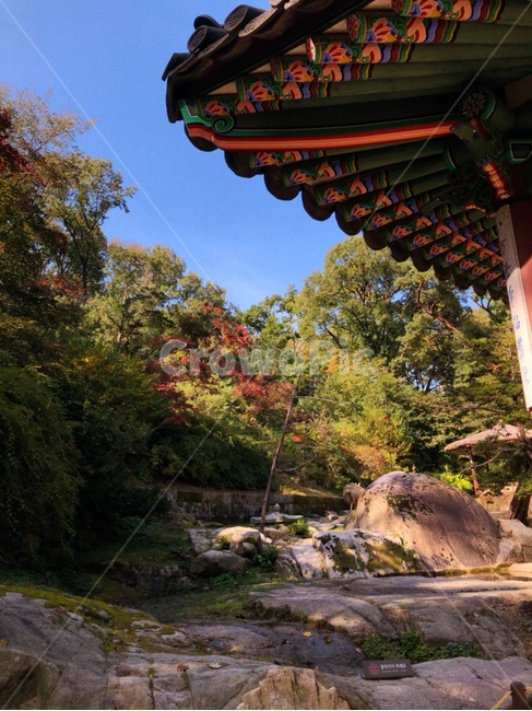 changdeokgungpalace,창덕궁,창덕궁후원,한국관광지,유명관광지,한국궁궐,풍경,경치,낙엽,architecture,building,한국전통,한국문화,korean traditional,korean culture,건축물,건물외관,exterior,building,structure,architecture,construction