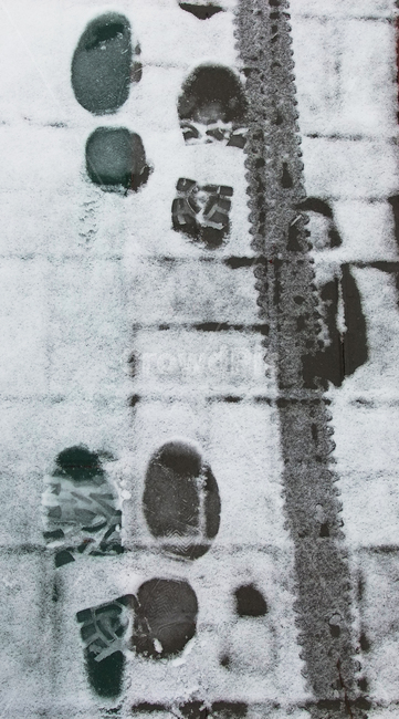 겨울,발자국,발자취,도로,눈,winter,footprint,step,cold