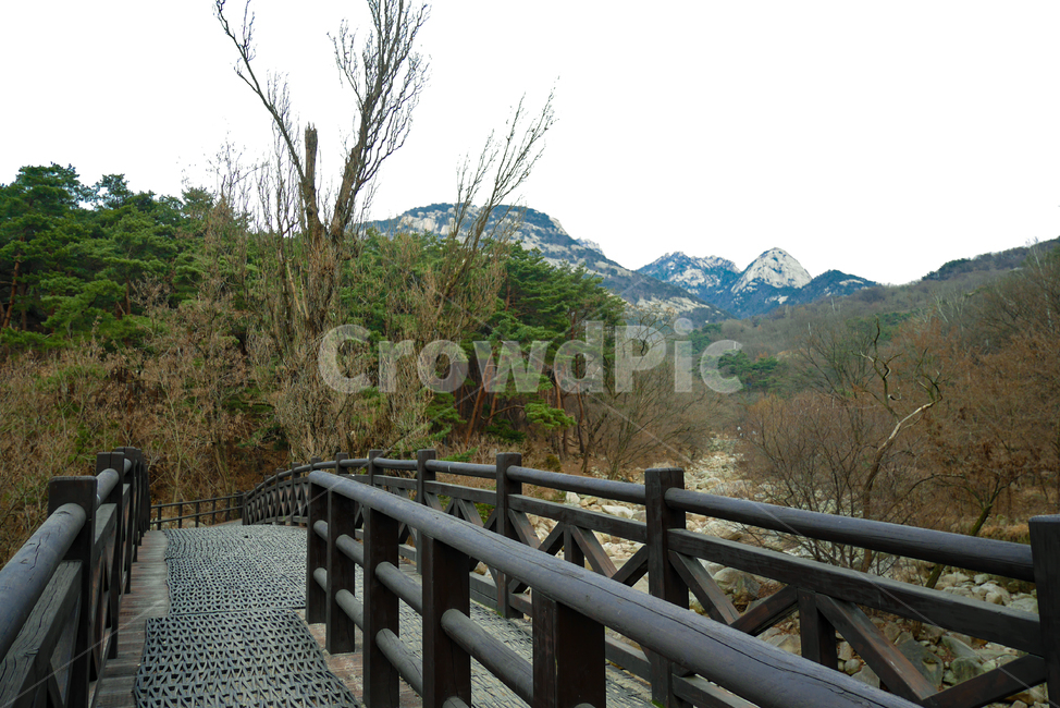 산,다리,자연,풍경,배경,나무,한국자연풍경,tree,nature,난간,outdoors,옥외