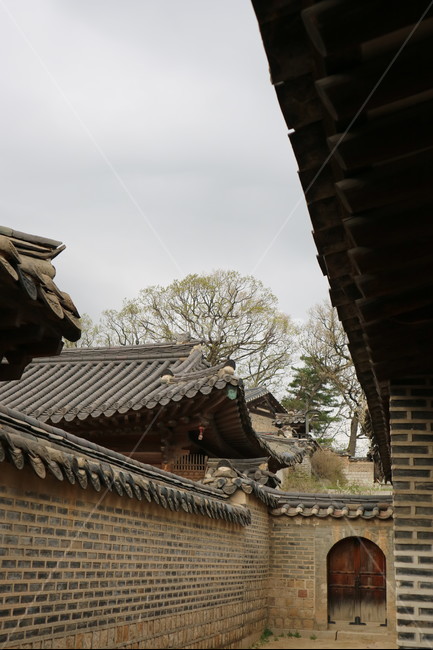 창덕궁,봄,산책,서울,궁궐,전통,풍경,한국전통,한국문화,korean traditional,korean culture,건축물,건물외관,exterior,building,structure,architecture,construction