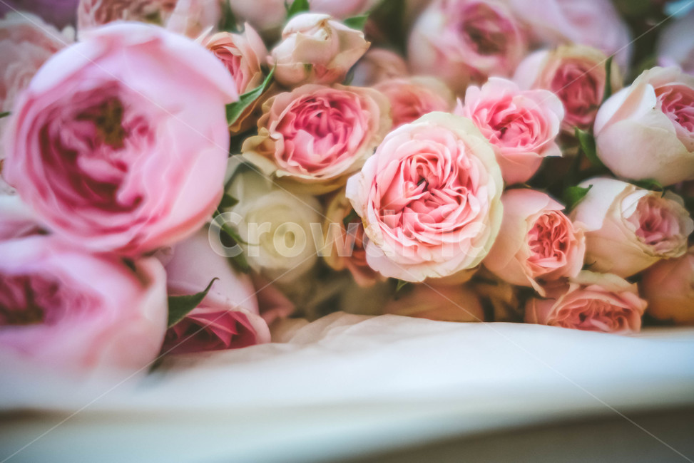 blossom,꽃,꽃부케,flowerbouquet,꽃꽂이,flower,flowerarrangement,꽃,flower,기념일,축하,anniversary,congratulation,celebrate,celebration