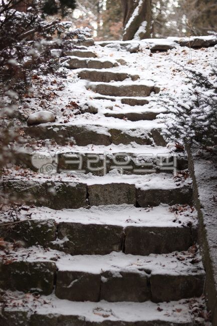 겨울,눈,쌓인눈,눈쌓인계단,계단,outdoors
