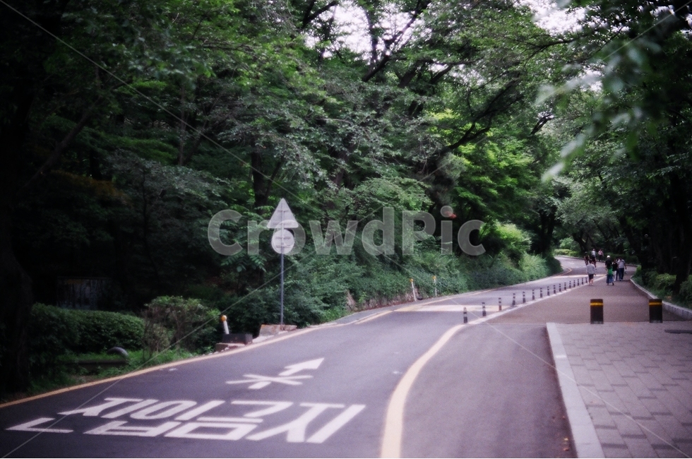 산책로,진입금지,산,등산,평화,자연,풍경,nature,landscape,road,도로,asphalt,아스팔트