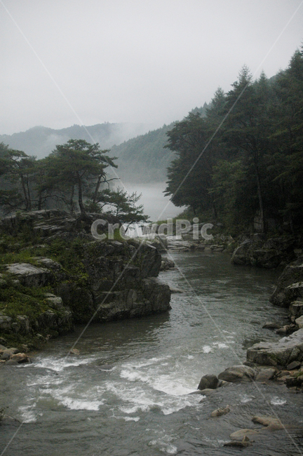 계곡,물,자연,nature,outdoors