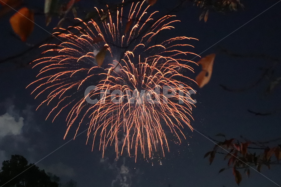 불꽃놀이,불꽃,폭죽,불꽃축제,축제