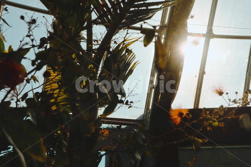꽃,정원,풀,식물원,garden,식물,자연,plants,nature