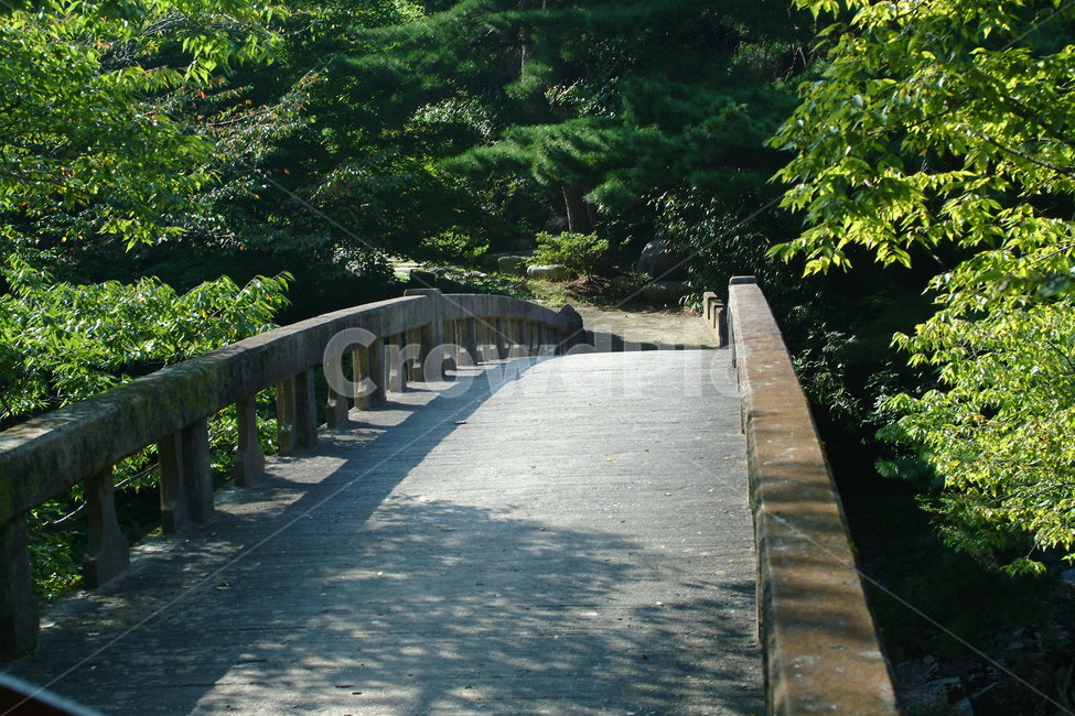다리,길,가을,숲,오솔길