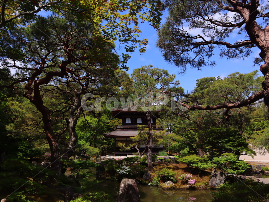 교토,은각사,풍경,일본,건물,전통,japan,kyoto,건축물