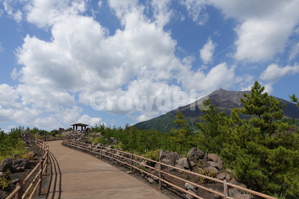가고시마,사쿠라지마,화산,활화산,화산섬,일본,자연,풍경,nature,landscape,해외,외국,세계,foreign,oversea,world,세계자연풍경,해외자연풍경,외국자연풍경,world nature landscape,road,도로,outdoors,옥외