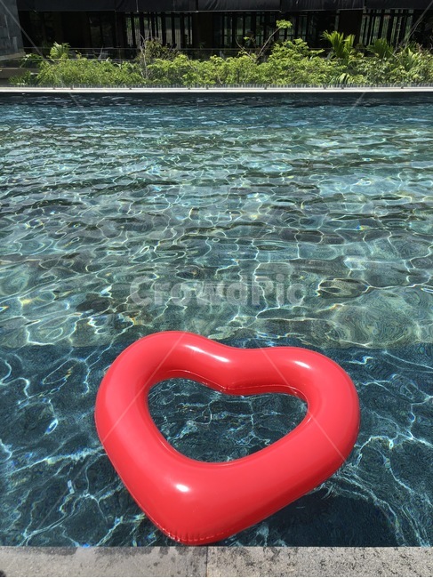 수영장,리조트,pool,튜브,resort