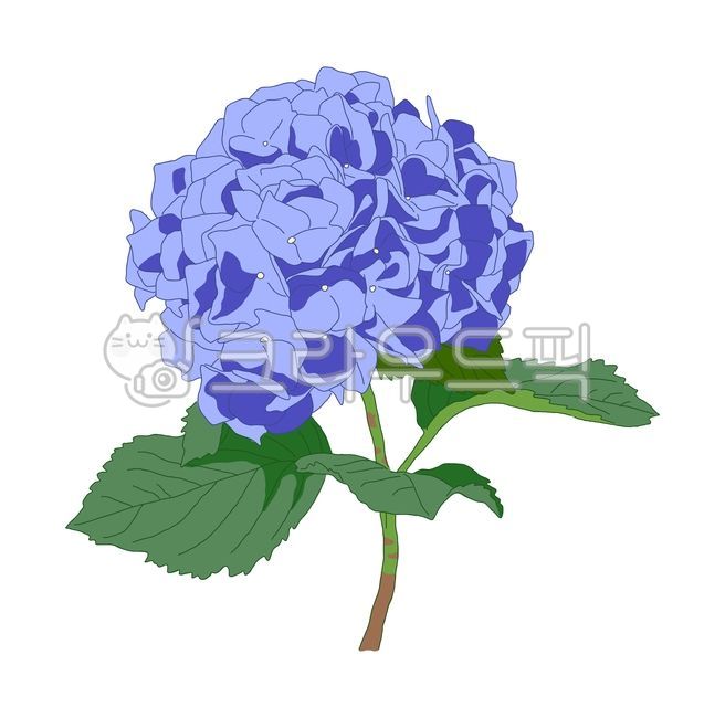 symbol,Lower,beauty,flora,sign,spring,beautiful,bloom,botanical,orist,drawing,designsource,decoration,floral,natural,hand drawing,frenchhydrangea,bouquet,plant,colorful,object,clipart,color,concept,icon,isolated,hydrangea,cute,flowershop,handdrawing,flowe