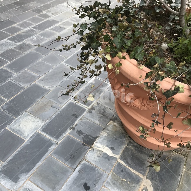 화분,식물,나뭇잎,벽돌,plant,flowerpot,pot,jar,brick,leaf,인테리어,interior,props,식물인테리어,조경,landscaping