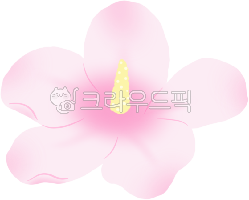 무궁화일러스트,우리나라꽃,무궁화삼천리,대한민국,나라꽃,분홍꽃,삼일절,독립만세,한송이,꽃송이,애국심,flower,꽃,petal,꽃잎