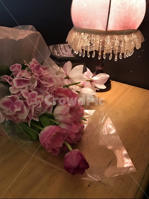 꽃,튤립,flower,tulip,봄,spring