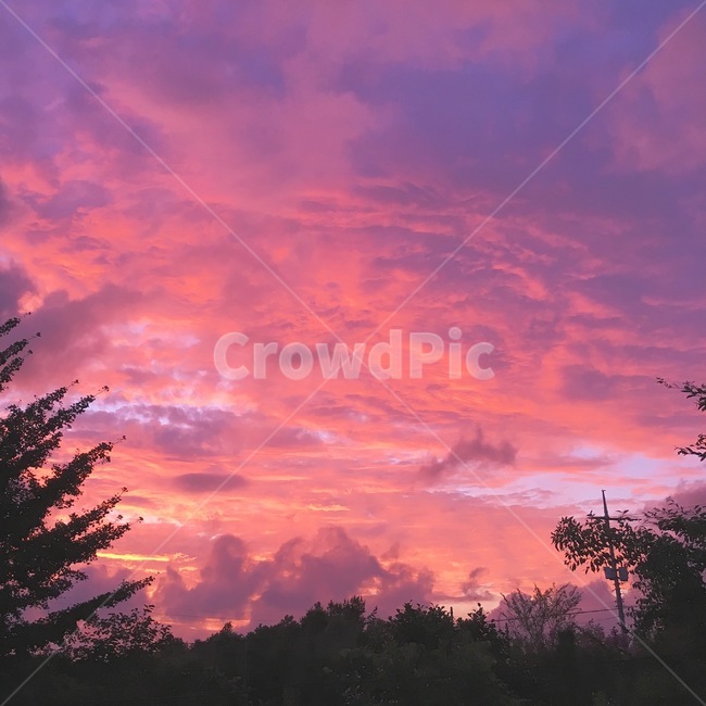 nature,자연,redsky,sunset,일몰,하늘,sky,풍경,노을,자연,풍경,nature,landscape