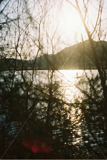빛,우포늪,배,뱃사공,나무사이,자연,풍경,nature,landscape,휴식,힐링,rest,relaxation,healing,light,flare,플레어,sunlight,햇빛