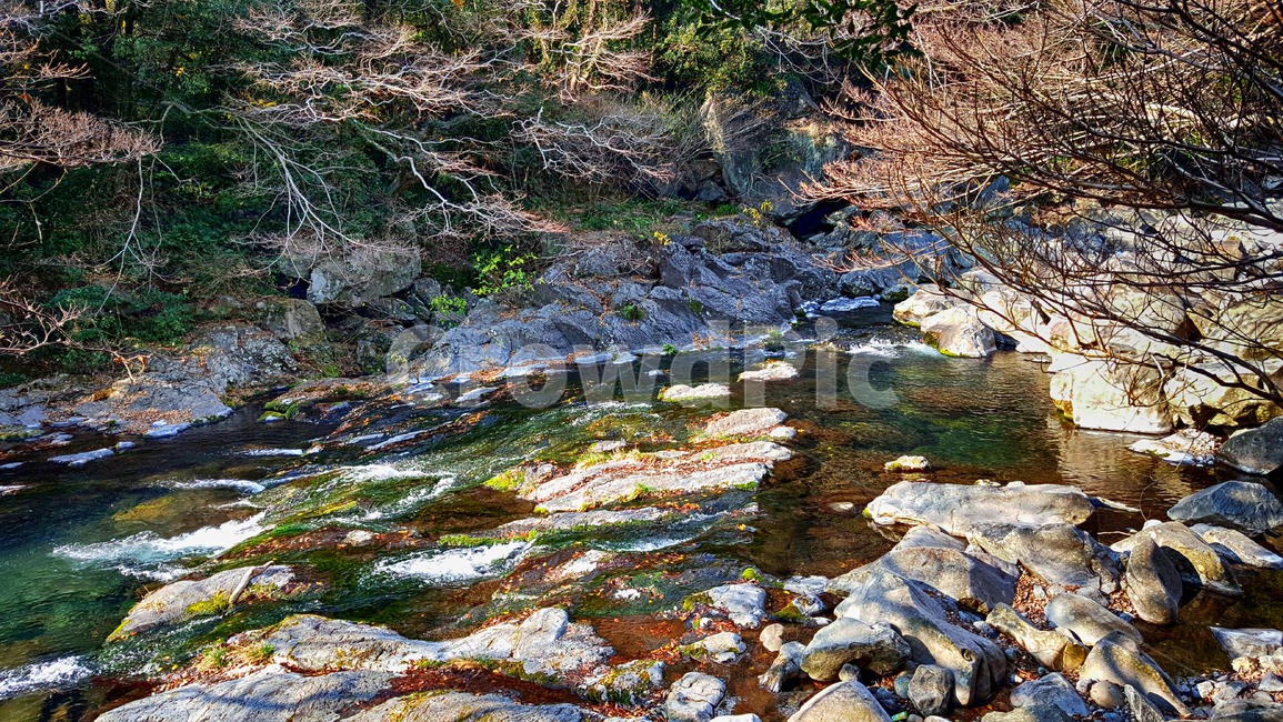 천제연폭포,폭포,천제연,자연,nature,water,물,자연,풍경,nature,landscape
