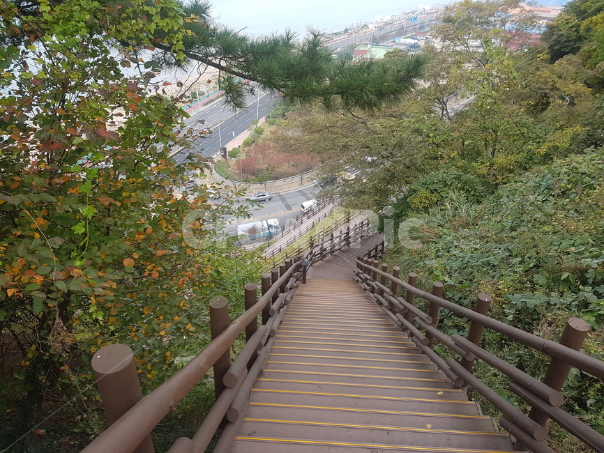 나무계단,산,도로,부산,풍경