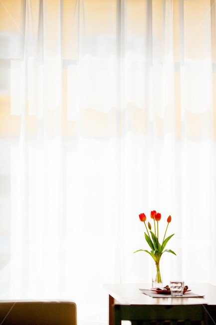 감성,소품,장식,인테리어,조화,flower,튤립,꽃병,감성,sensible,feeling,인테리어,실내디자인,interior design