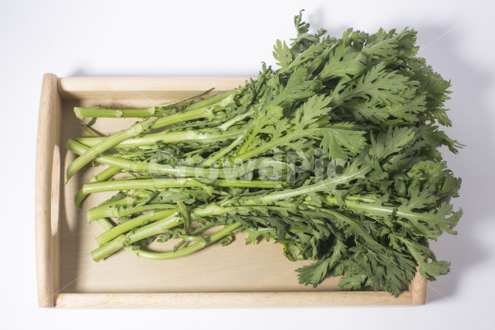 쑥갓,야채,채소,식재료,녹색,채소,야채,vegetables