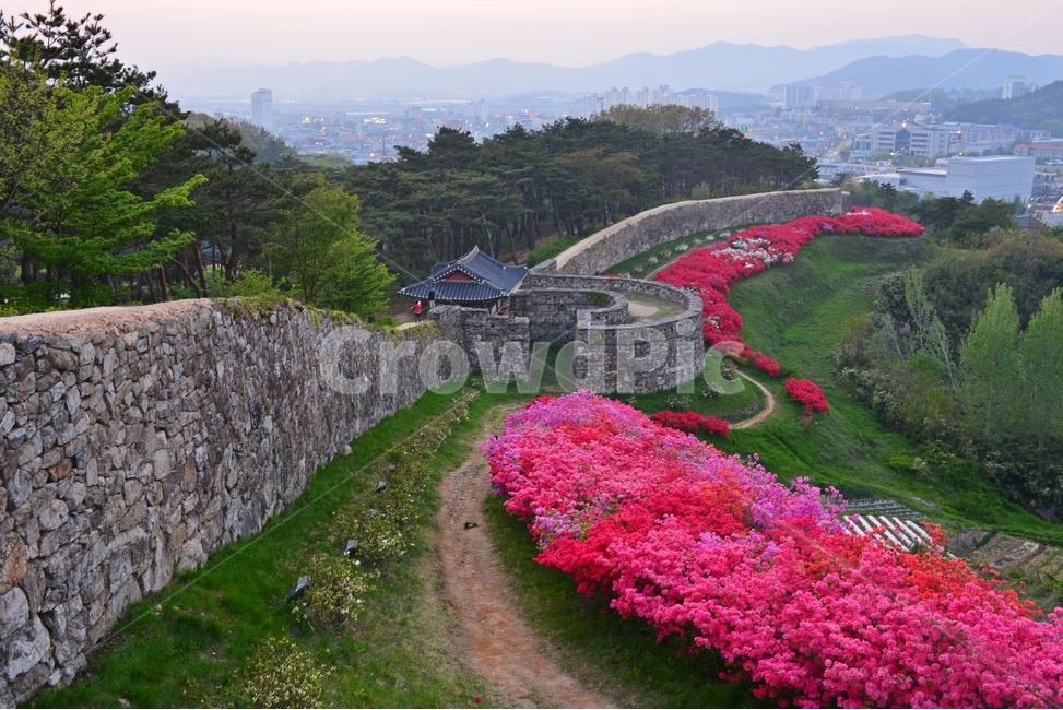 전북,고창,고창읍성,모양성,모양성봄,철뚝,철쭉꽃,봄,계절,outdoors,scenery,풍경,nature,자연