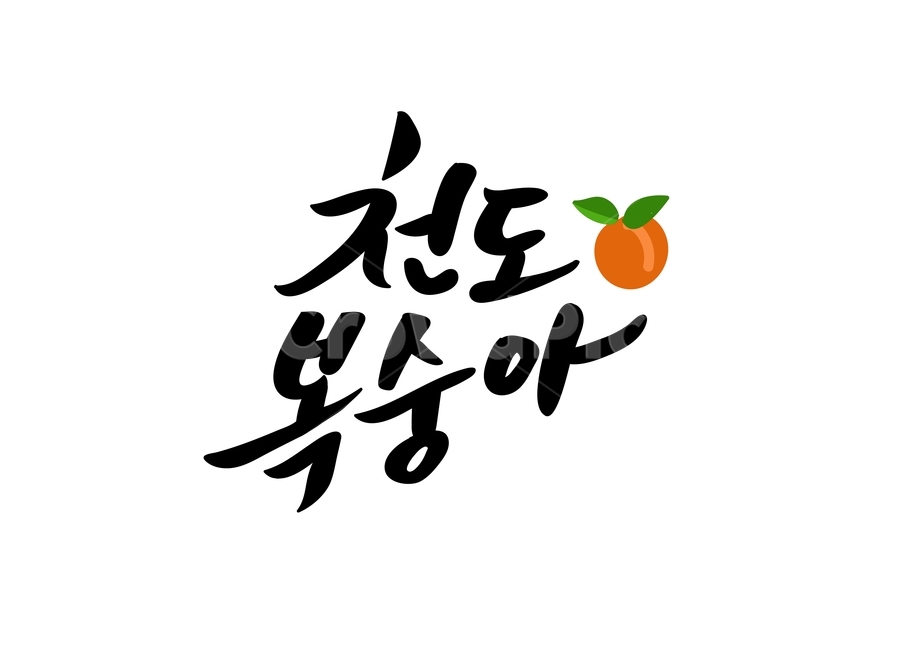 summer fruit,fruit,handwriting,peach,summer,food,Nectarine,writing,illustration,calligraphy