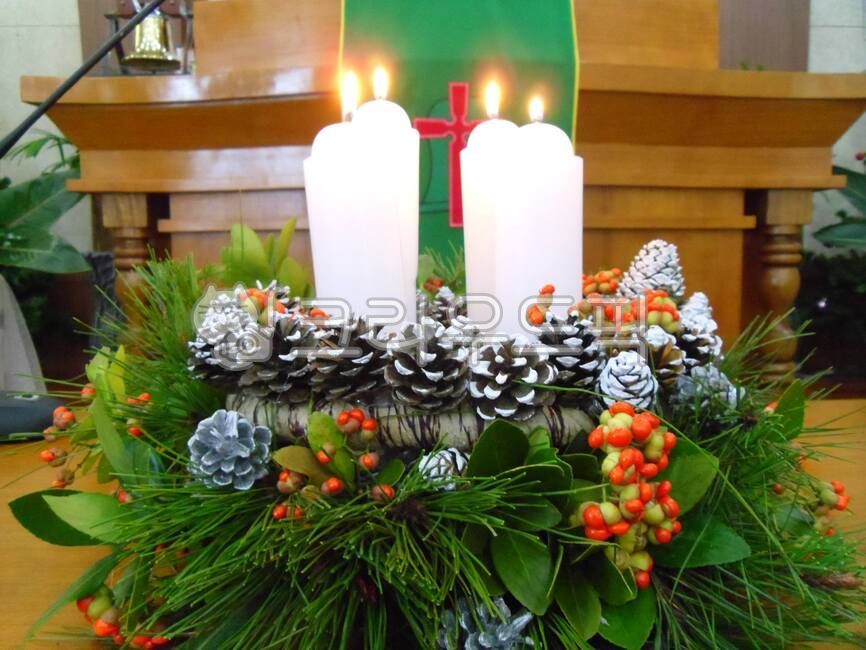 Advent candles,Christmas,Advent plant,Churi,candle,Advent,birth of jesus