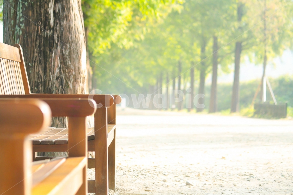 감성,고요한,풍경,외로움,따스한,휴식,힐링,rest,relaxation,healing