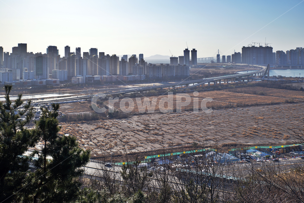 송도,인천,신도시,도시,갈대,아파트,도시,풍경,city,landscape