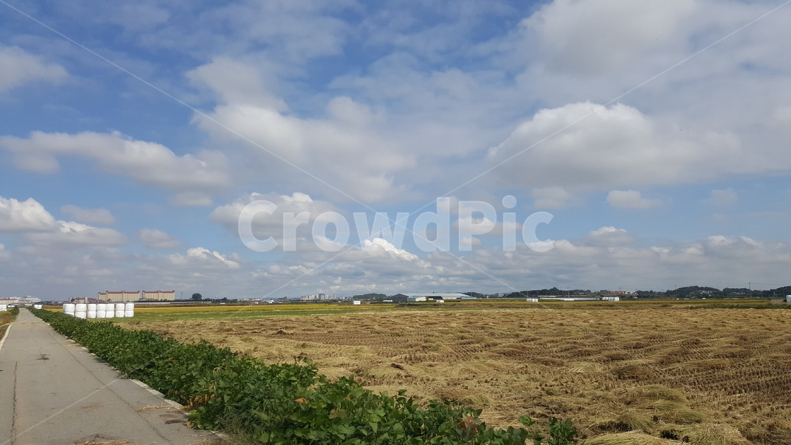 nature,자연,날씨,옥외,논,weather,자연,풍경,nature,landscape,outdoors