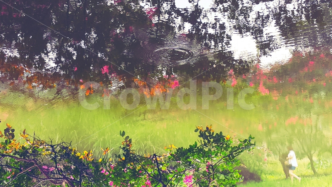 봄,풍경,아련함,느낌,추억,반영,꽃,연두,설레임,자연,풍경,nature,landscape,감성,sensible,feeling,봄,계절,spring,season,plant,식물,leaf,잎