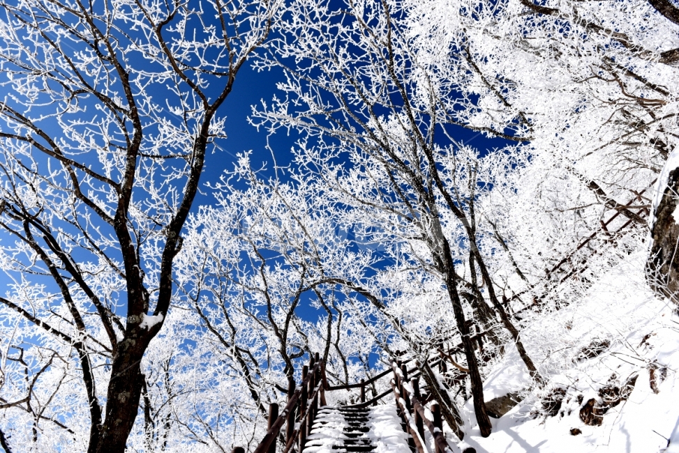 소백산,겨울산,겨울풍경,눈,설경,겨울,계절,winter,season,자연,풍경,nature,landscape,outdoors,옥외,snow