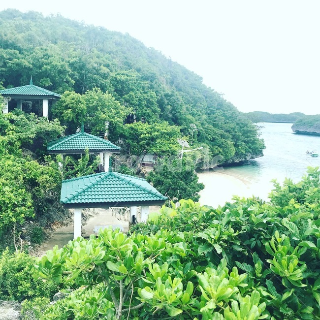 섬,처마,정자,바다,숲