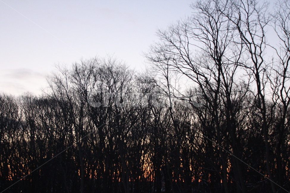 풍경,산,새벽,햇빛,아침,자연,풍경,nature,landscape