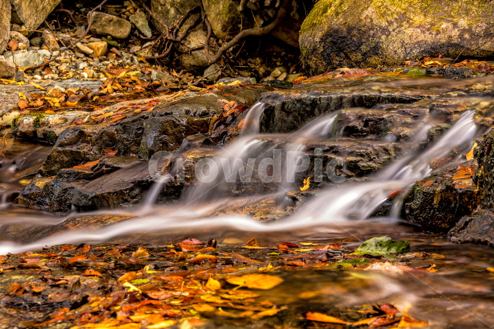 계곡,장노출,가을,단풍,단풍계곡,landscape,자연,물,가을,계절,fall,autumn,season,자연,풍경,nature,landscape,water,river,강,outdoors,옥외